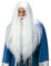 NET TOYS Perücke Zauberer Gandalf mit Bart Magier Faschingsperücke Merlin Zaubererperücke Weiss, one Size, Kunsthaar
