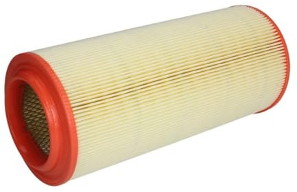 Filtron Air Filter AR265/1