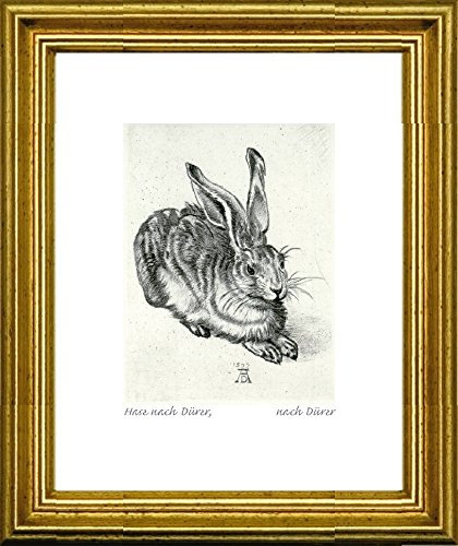 Kunstverlag Christoph Falk Handkolorierte Radierung Hase nach Dürer im Rahmen Gold