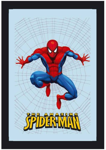 empireposter KS227 Spider-Man - Netz - Bedruckter Spiegel