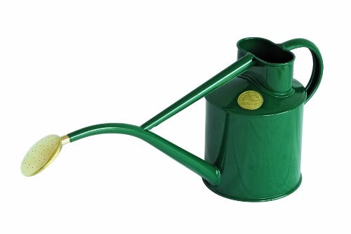 Haws Gießkanne für den Innenbereich, Metall, 1-Liter, mit Brause und Geschenk-Box