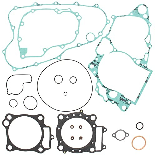 Winderosa 808278 Motor komplett Dichtung Kit