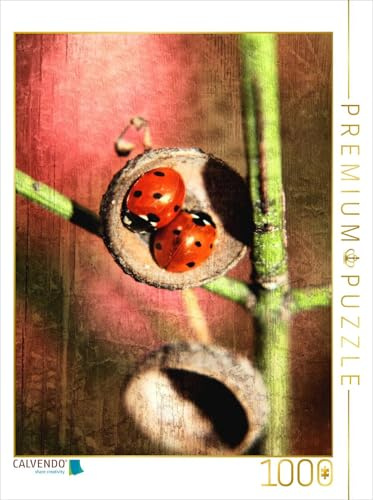 CALVENDO Puzzle Zimmer für Zwei | 1000 Teile Lege-Größe 48 x 64 cm Foto-Puzzle für glückliche Stunden