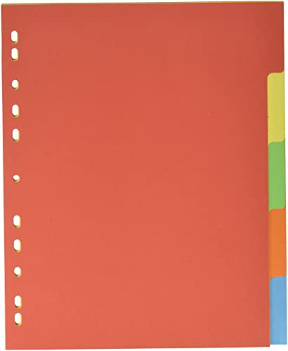 Pagna 32004-20 Register, A4, XXL, 5-teilig, 5-farbig