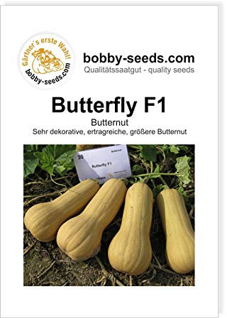 Butterfly F1 Butternut Kürbissamen von Bobby-Seeds, Portion