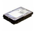 Hypertec 300GB SAS 300GB SAS Hard Drive – Hard drive – 300 GB, 15000 RPM, SAS)