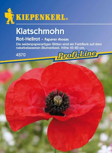 Klatschmohn, 'Papaver rhoeas'