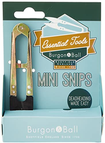 Burgon Ball &Mini Snips, In Geschenkbox