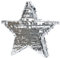 (BOX20) Bash Pinata - Silver Foil Star
