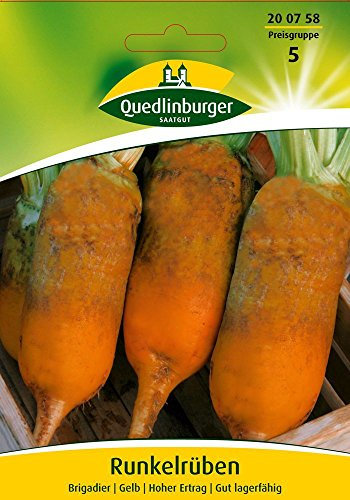 Quedlinburger 200758 Futterrübe Brigadier (Rübensamen)