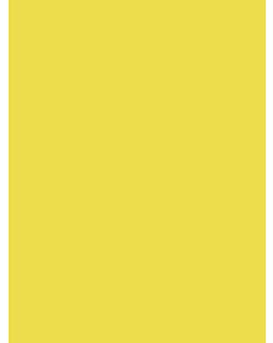 Clairefontaine 384515C - Pacco da 25 fogli di Carta Poster dipinto 90g/m² - Formato 60x80cm - decoupage, Scrittura, Collage - hobby creativo Adulti e Bambini - Colore giallo limone
