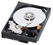 Western Digital WD Caviar Blue 250GB Bulk, WD2500AAJS-RFB (Bulk)