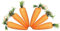Robelli 6 stück Packung Ostern Bunny Rabbit Orange Karotten Wandbehang Partydekorationen
