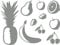 Samunshi® Wandtattoo Küche Obst/Früchte 25 x 18,5cm mittelgrau