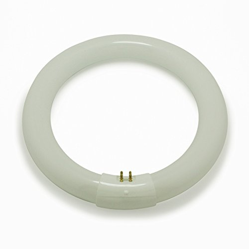 Izzy 60W 16 Warm White 830
