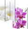 Mendler Foto-Paravent Paravent Raumteiler Trennwand M68-180x120cm, Orchidee