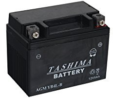 Greenstar 2081 Batterie AGM 5 A 12 V