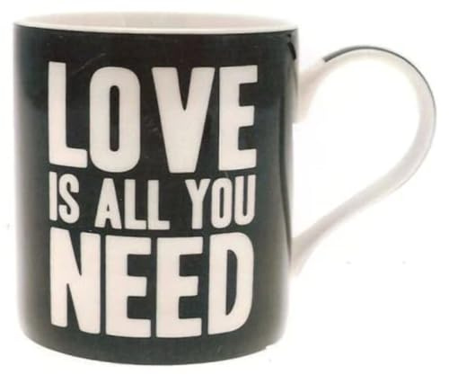 Lesser & Pavey Words of Wisdom Love is All You Need Mug in Gift Box