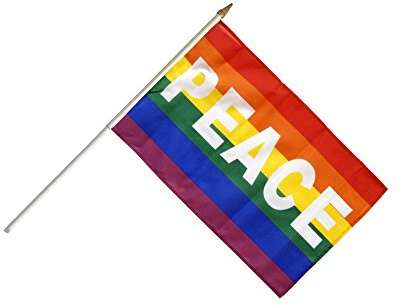 Flaggenfritze® Stockflagge Regenbogen mit Peace - 30 x 45 cm