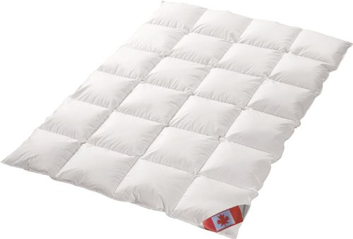 Ganzjahres Daunenbett Kassettenstegbett canadische Daune 100% Natur Landdauenbett Wärmegrad 3