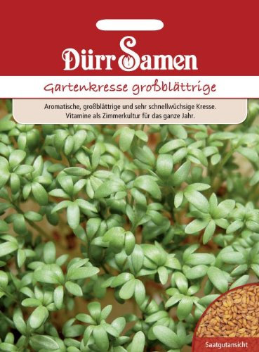 Gartenkresse Samen Großblättrige Kressesamen ca 16000 Korn Küchenkräuter Kräutersamen Saatgut Balkon Garten Hochbeet Kübel Dürr Samen