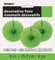 Unique Party 63258 - Mini Lime Green Tissue Paper Fan Decorations, Pack of 3