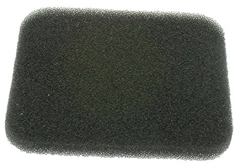 Greenstar 21806