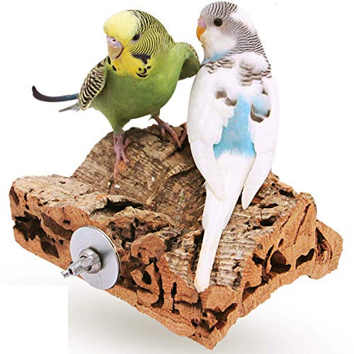 Vogelgaleria® Korksitzbrett 10x10cm für Wellensittich, Nymphensittich zum Knabbern und Sitzen| Handgemachtes Vogelzubehör aus Deutschland, Sitzbrett für Vögel