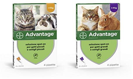Bayer advantage x gatti inferiori a 4 kg