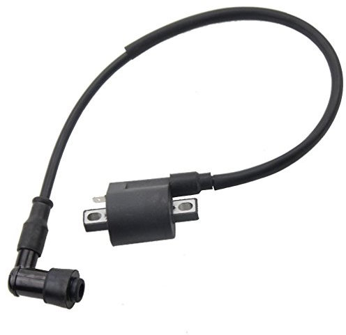 GOOFIT Zündspule Ersatz für CG 125CC 150cc 200cc 250cc MTB/ATB Go Kart Dirt Bike Pit Bike Four Wheeler Quad Bikes 90 PW50 KX60 KX65 KX80 KX85 KX125 KX250 KDX200 ATV