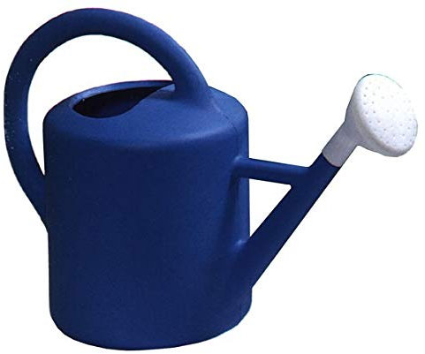 PASCOR - Regadera Pascor 6 L