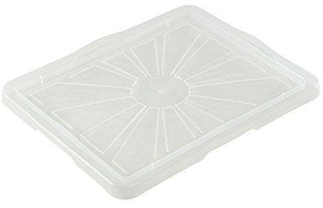 keeeper Deckel für Aufbewahrungsbox Franz, Größe: L/XL, 43 x 35 cm, Franziska, Transparent, Aquamarine