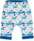 Sense Organics Baby-Jungen Baker (beidseitig tragbar) Hose, Mehrfarbig (AOP Arctic Scene + Teal 280007), 68 (Herstellergröße: 3M)