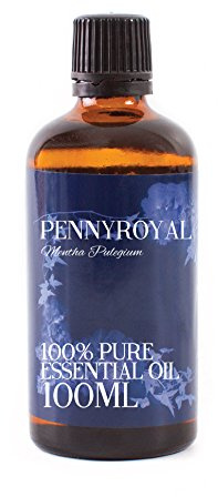 Mystic Moments | Pennyroyal Essential Oil - 100ml - 100% Pure