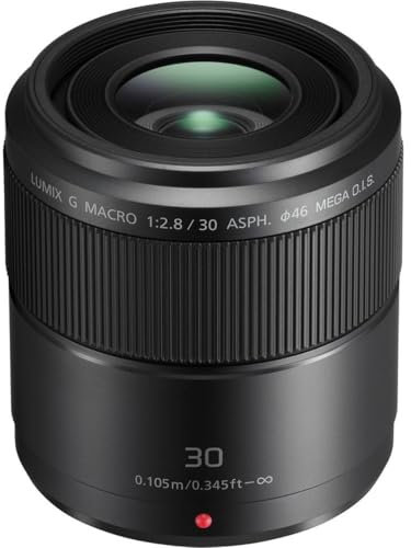 Panasonic Lumix G Macro-Objektiv, 30 mm, F2.8 ASPH, spiegellos, Mikro, Vier Drittel, Mega Optical I.S, H-HS030 (USA Schwarz)