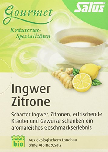 Salus Ingwer Zitrone Kräuter-Früchtetee (1 x 30 g)