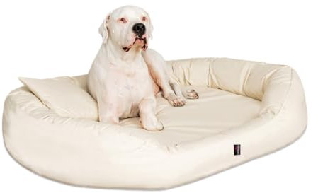 tierlando® Orthopädisches Hundebett Sammy - Robuster Polyester - Dicke Umrandung - Gr. L - XXXXL Hundesofa Hundekörbchen, mittelgroße und große Hunde, waschbar Gr. XXL 140 cm Creme