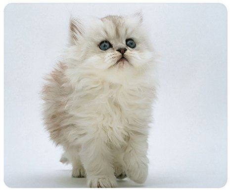 SUN VIGOR New 2015 Oblong Shaped Mouse Pad White Kitten Natural Eco Rubber Design Durable Mouse Mat Computer Accessories Gaming Mouse Pads For Gift