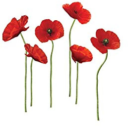 RoomMates Wandtattoo Mohnblumen