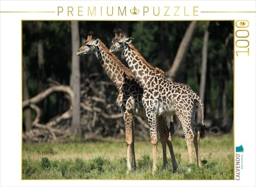 CALVENDO Puzzle Giraffen – Zwillinge | 1000 Teile Lege-Größe 64 x 48 cm Foto-Puzzle für glückliche Stunden