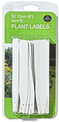 W0862 Garland 15cm (6) Plant Labels (50) (White)