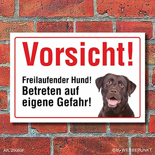 Vorsicht Freilaufend, Labrador, Hund, Schild, Hinweis, 3 mm Alu-Verbund Motiv 1 300 x 200 mm