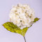 artplants.de Deko Hortensien Zweig, Creme, 65cm - Textilblume