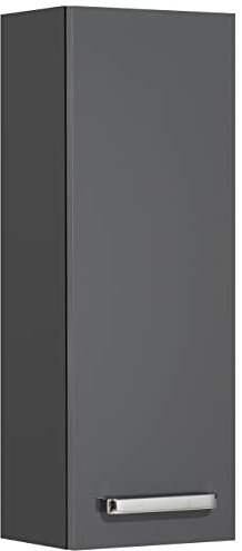 Pelipal Badezimmer Hängeschrank Quickset 311 in Anthrazit Glanz, 25 cm breit | Bad Wandschrank mit 1 Tür und 2 Einlegeböden