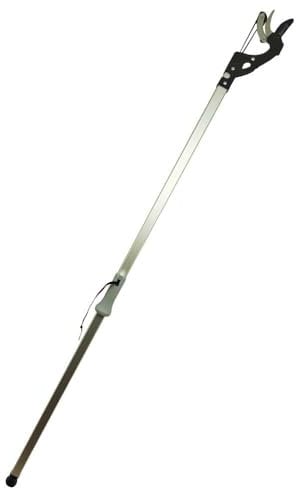 Elba, Multi-Colour JNS_405136