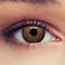 DESIGNLENSES, braune farbige Kontaktlinsen mit Stärke für einen natürlichen Effekt, 1 Paar (2St), Monatslinsen geeignet für dunkle Augen + Gratis Behälter -2,50 Dimension Brown
