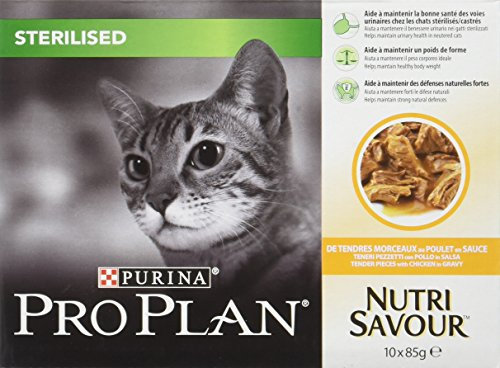 Pro Plan Wet-Feed sterilisiert Huhn 850gr genießen gr 85x10 Katzen Nassfutter
