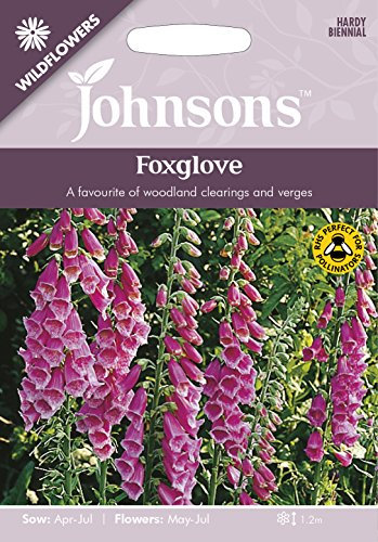 Johnsons 12551 Flower Seeds, Foxglove, Purple