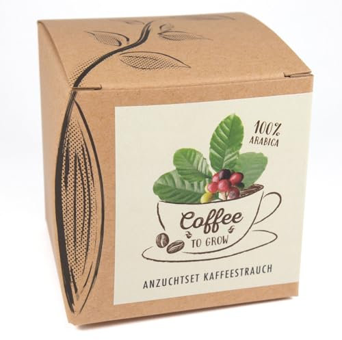 Kit de cultivo regalo Coffee-to-grow, Arbusto de café de cultivo propio, Incluye maceta de coco e instrucciones