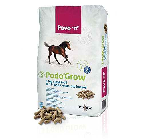 Pavo 164553